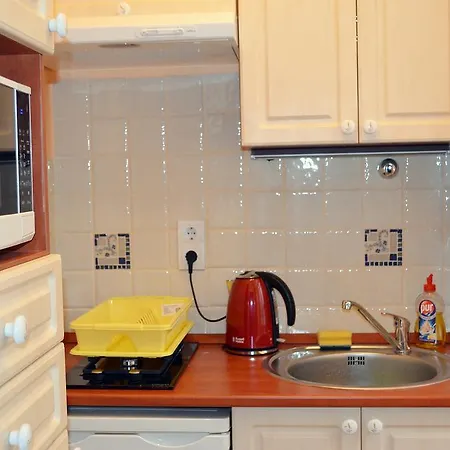 Central Ring Apartment *